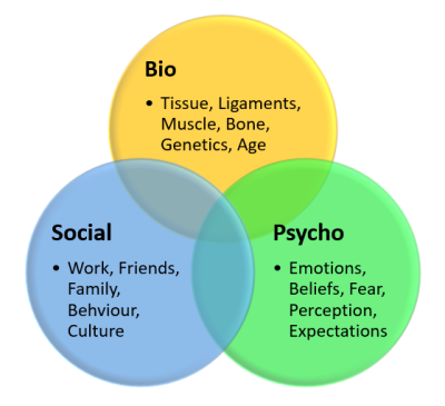 Diagram illustrating the biomedical model.