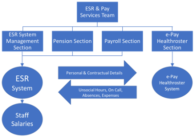 Diagram shows the different branches of the ESR and Pay Services team